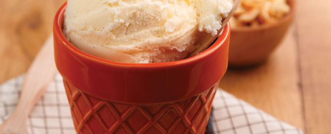Perfect Portion Vanilla Bean Ice Cream
