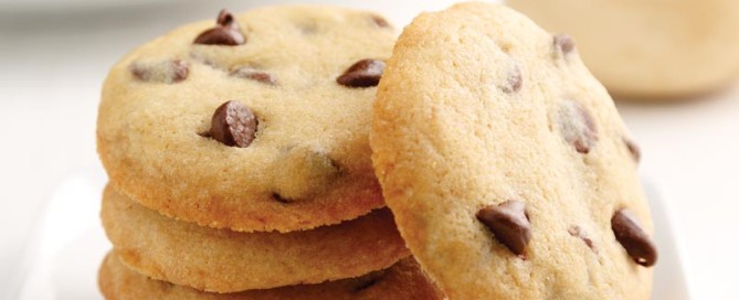 Perfect Portion Chocolate Chip Cookie