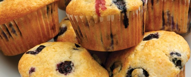 Perfect Portion Blueberry Muffins